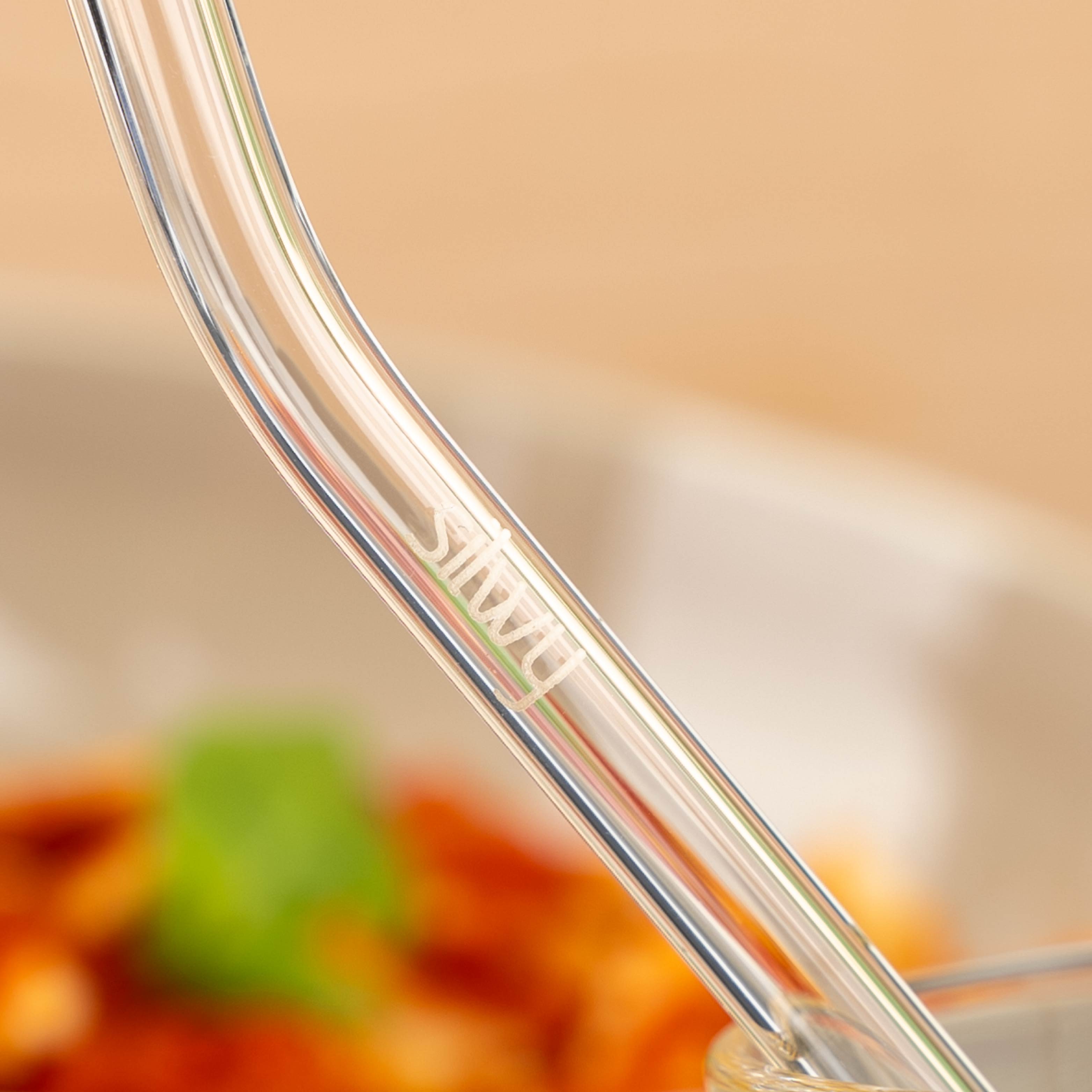 Drinking straw set - Silwy UK