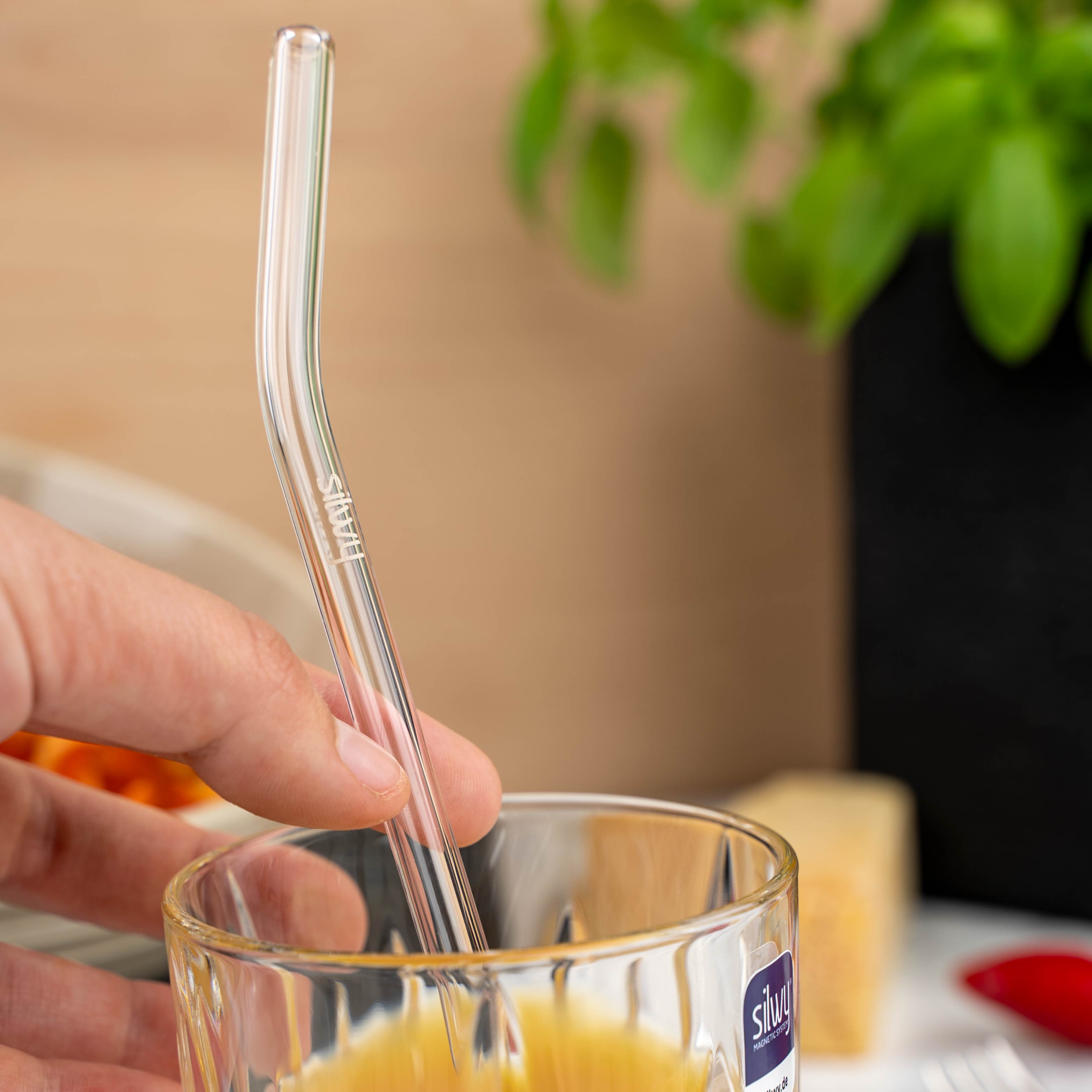 Drinking straw set - Silwy UK